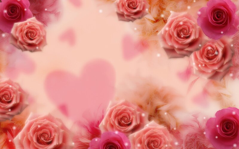Pink Roses and Hearts