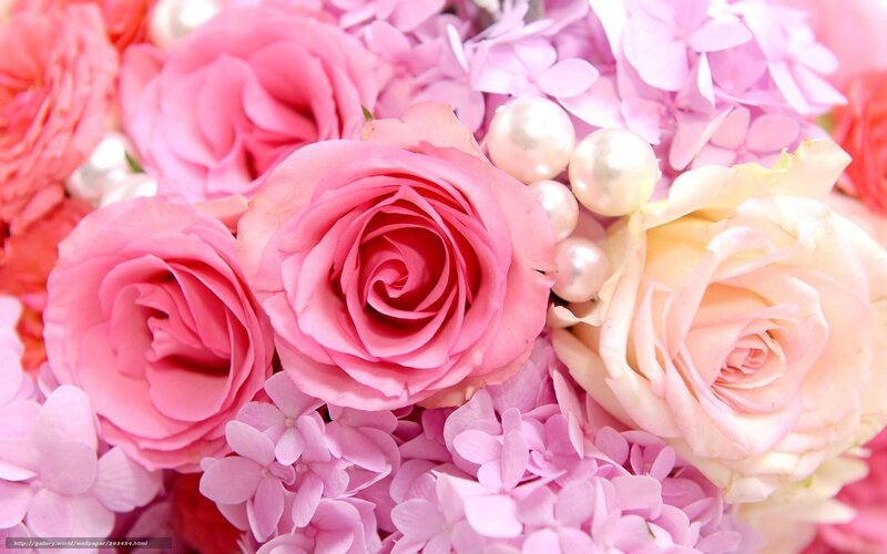 Pink roses and hydrangeas