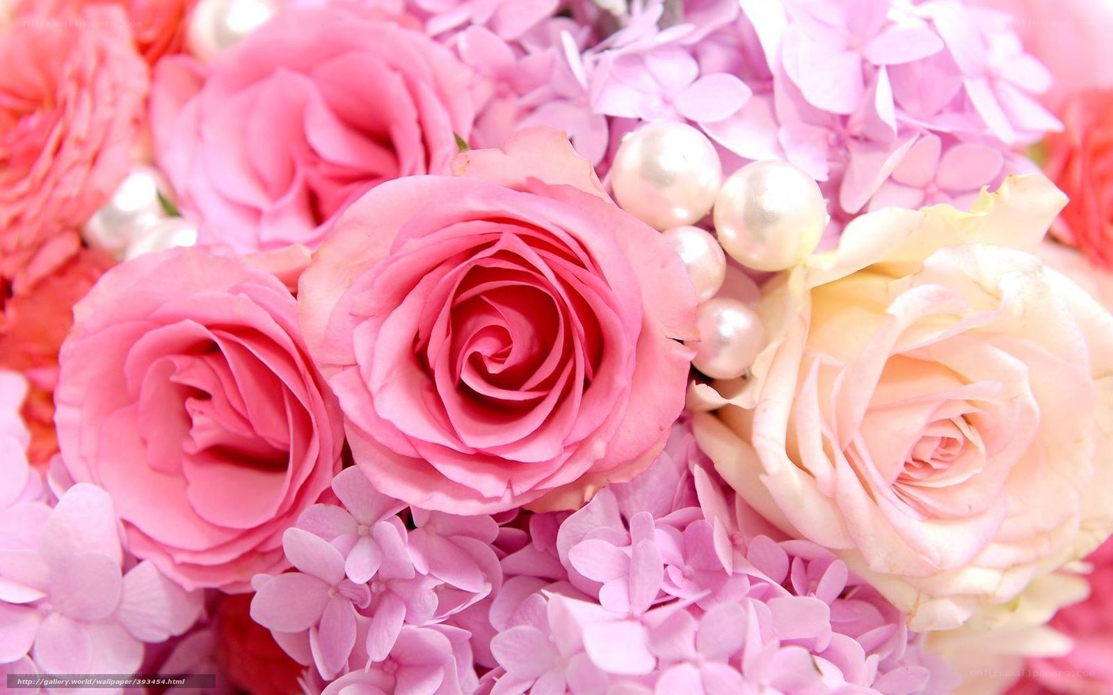 Pink roses and hydrangeas