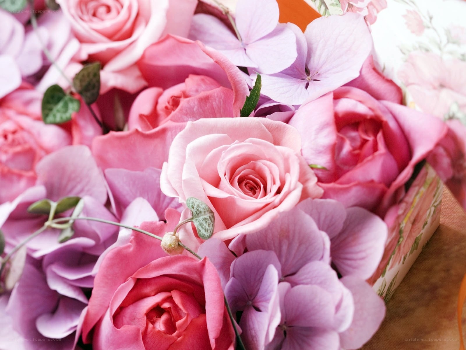 Pink roses and hydrangeas bouquet
