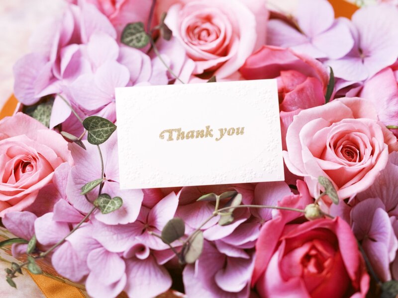 Pink Roses and Hydrangeas — Calm, Photograph, Card