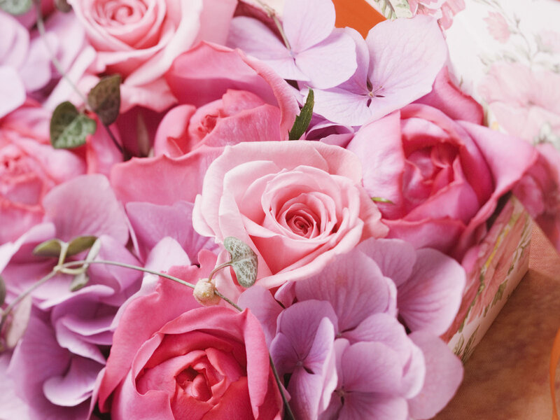 Pink Roses and Hydrangeas — Calm, Photograph, Flowers, Box