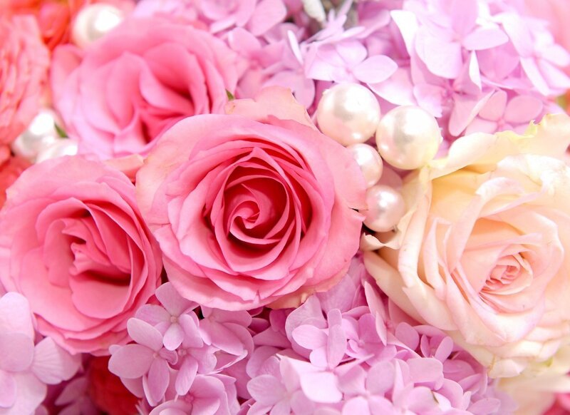 Pink Roses and Hydrangeas — Calm, Photograph, Pearls