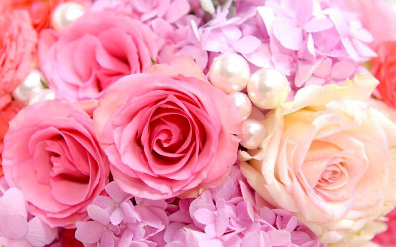Pink Roses and Hydrangeas — Romantic, Photograph