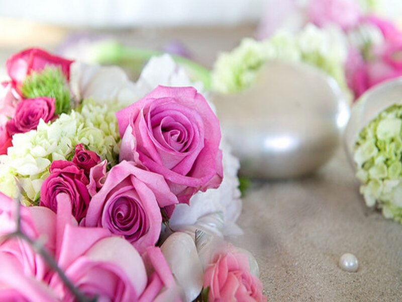 Pink Roses and Hydrangeas — Serene