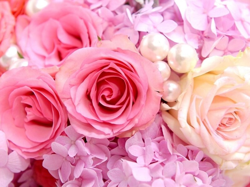 Pink Roses and Hydrangeas — Soft