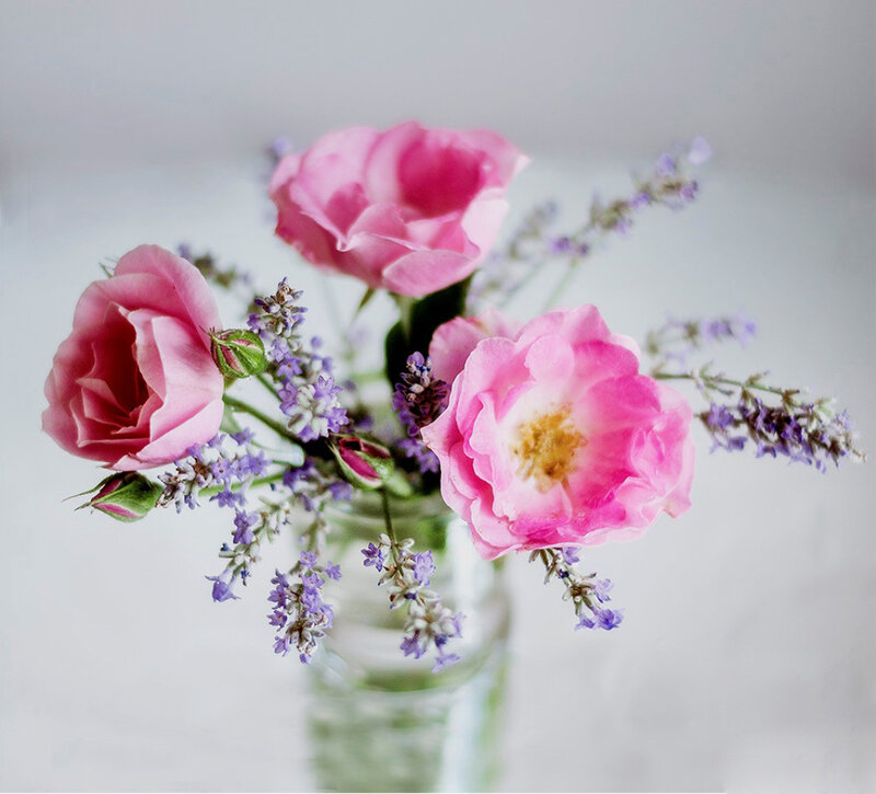 Pink Roses and Lavender — Serene