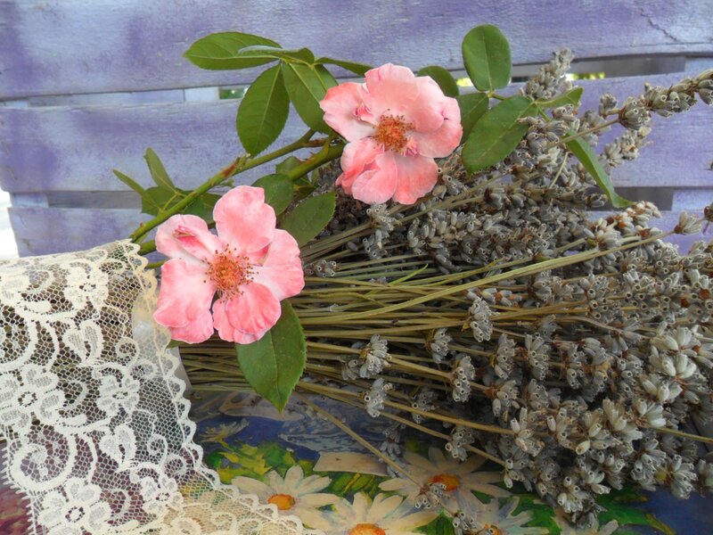 Pink Roses and Lavender