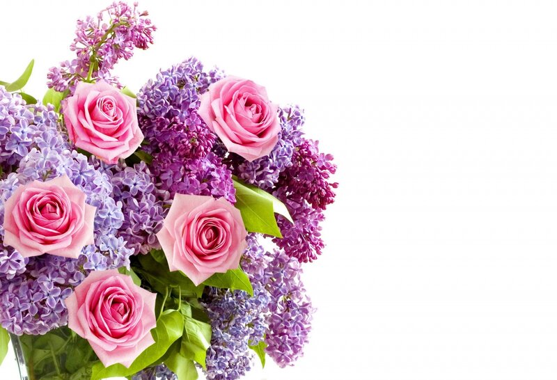 Pink Roses and Lilacs — Calm, Photograph