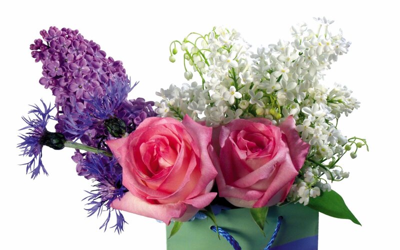 Pink Roses and Lilacs — Calm, Spring, Photograph