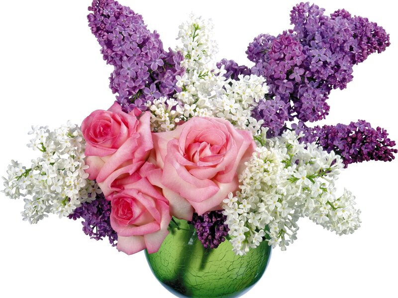 Pink Roses and Lilacs — Calm, Spring