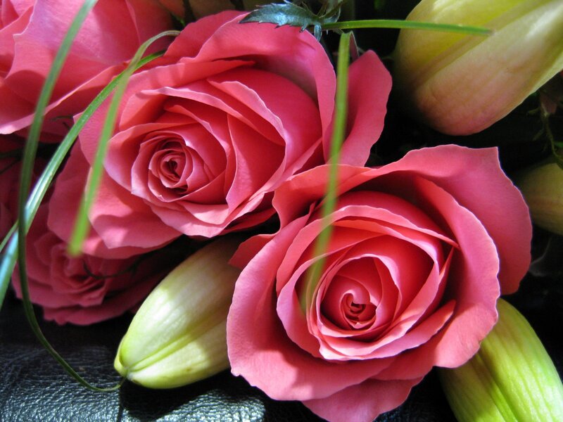 Pink Roses and Lilies
