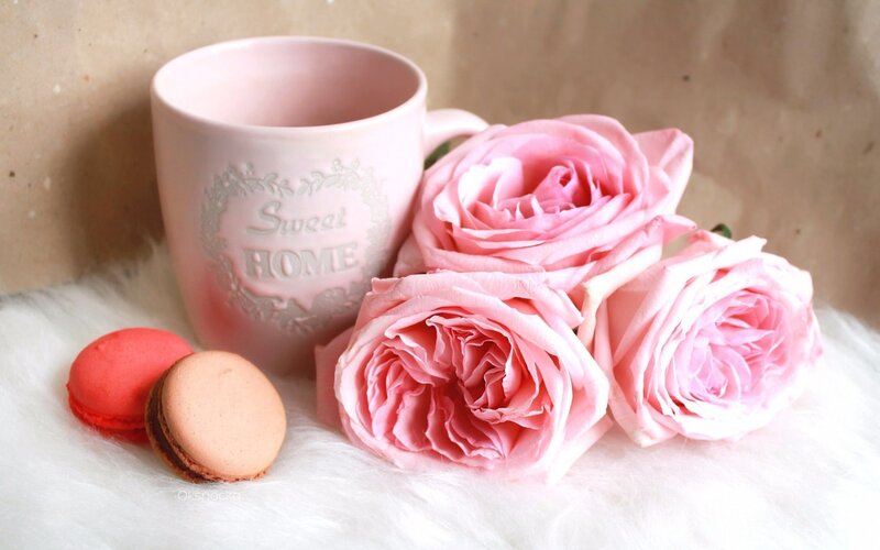 Pink roses and macarons