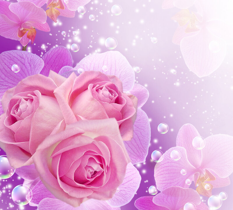 Pink Roses and Orchids — Dreamy