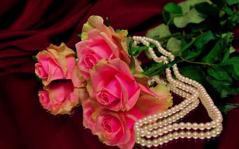 Pink Roses and Pearls — Dramatic