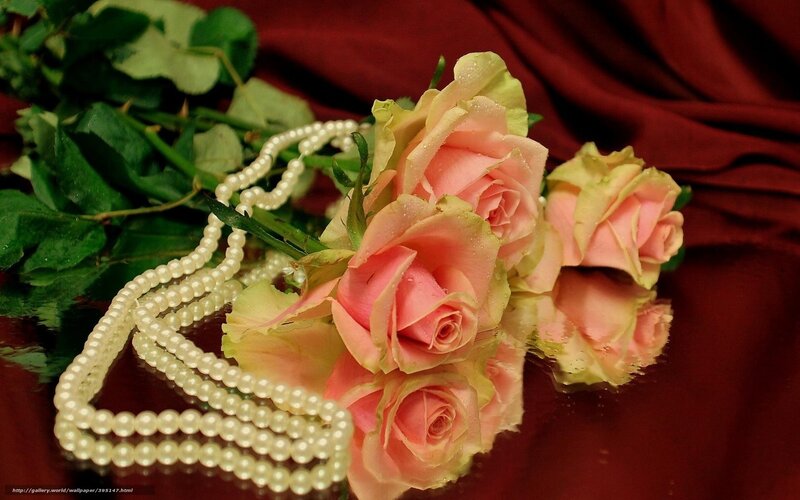 Pink Roses and Pearls — Romantic, Photograph, Green Leaves