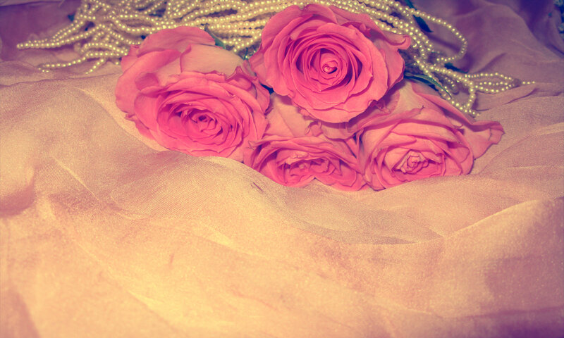 Pink Roses and Pearls — Romantic, Photograph