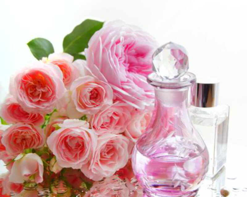 Pink Roses and Perfume