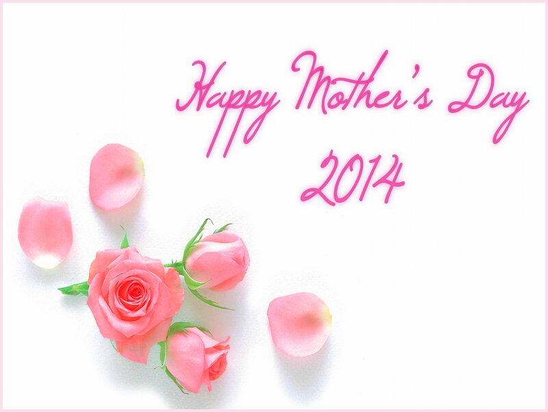 Pink Roses and Petals — Sentimental
