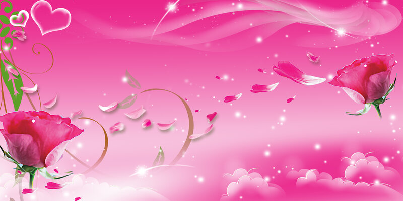 Pink Roses and Petals