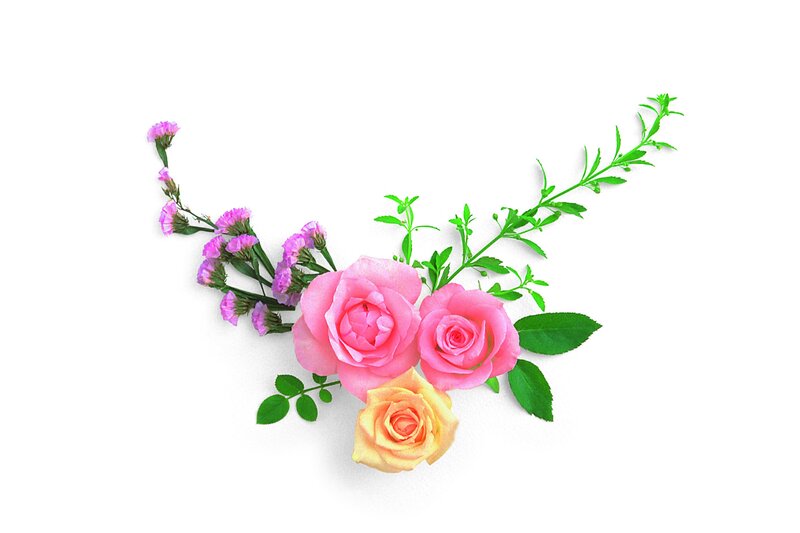 pink roses and purple flowers