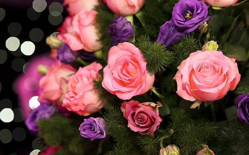 Pink Roses and Purple Flowers — Calm