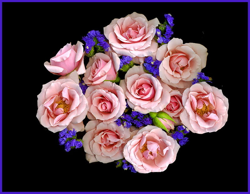 Pink Roses and Purple Flowers — Serene