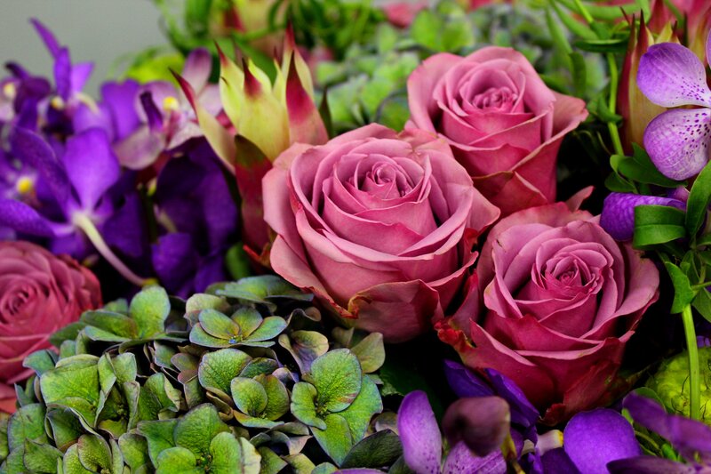 Pink Roses and Purple Orchids