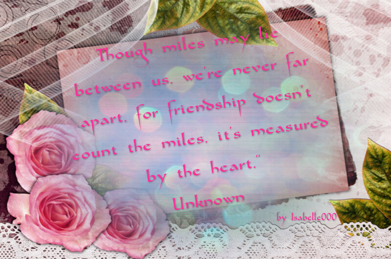 Pink Roses and Quote — Sentimental