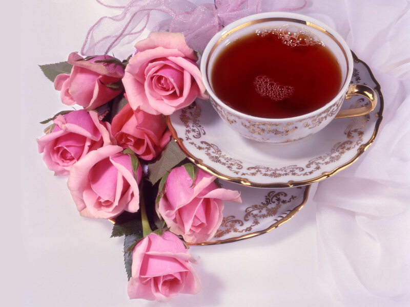 Pink Roses and Tea Cup — Serene