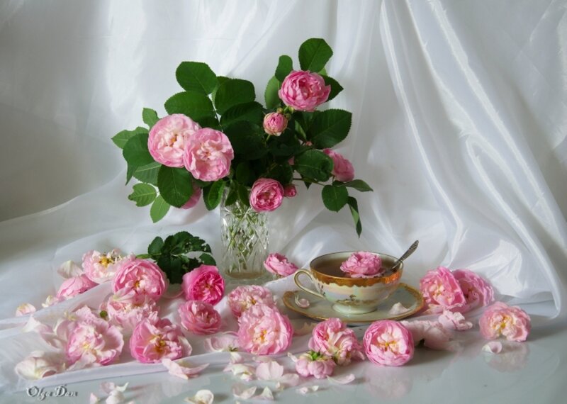 Pink Roses and Tea Cup