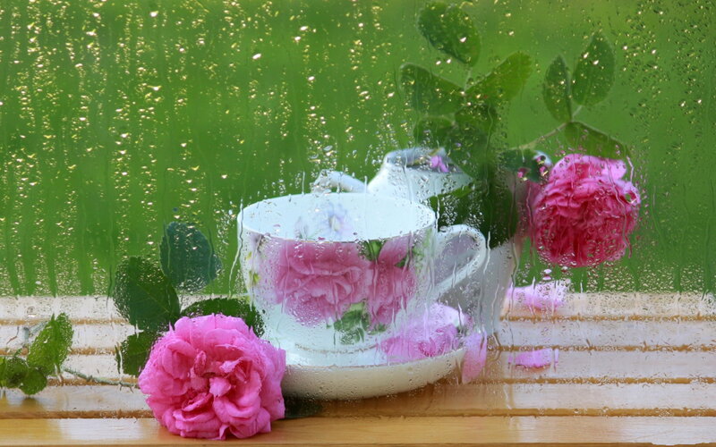 Pink Roses and Teacup — Green, Serene