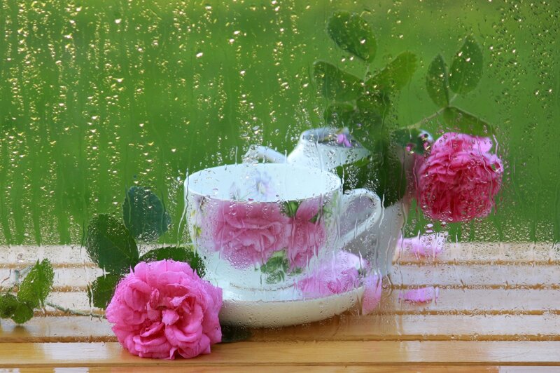 Pink Roses and Teacup — Green