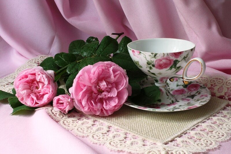 Pink Roses and Teacup — Serene, Photograph