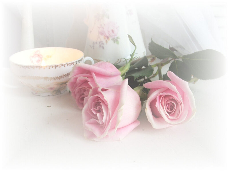 Pink Roses and Teacup — Serene