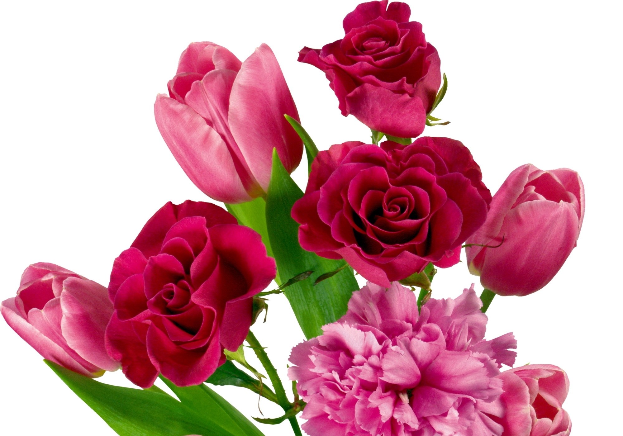 Pink roses and tulips