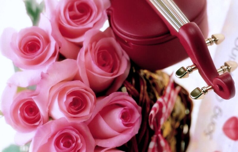 Pink Roses and Violin — Romantic, Photograph