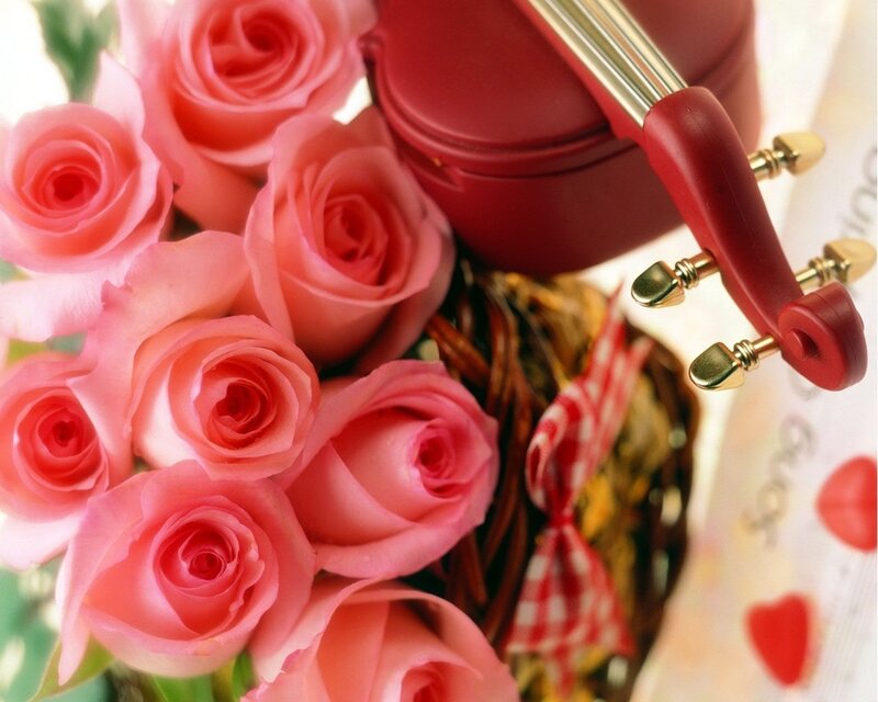 Pink Roses and Violin — Romantic