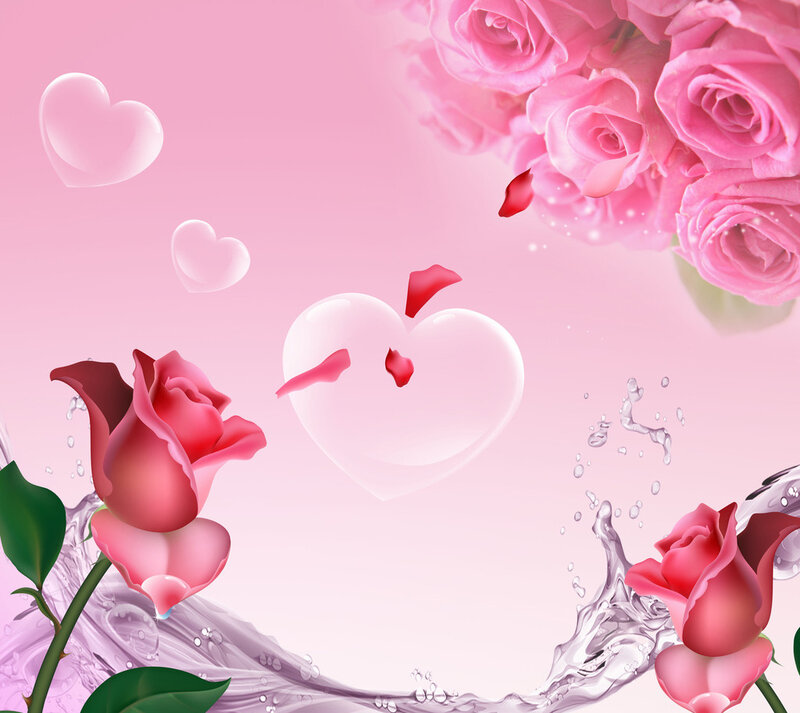 Pink Roses and Water Splashes