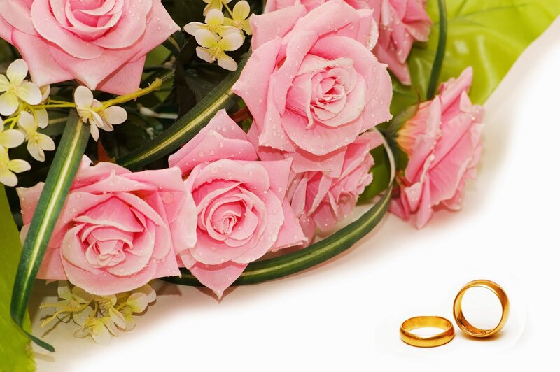 Pink Roses and Wedding Rings — Romantic, Photograph, Leaves