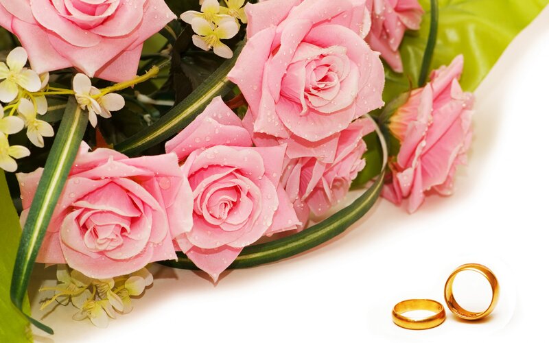 Pink Roses and Wedding Rings — Romantic, Photograph