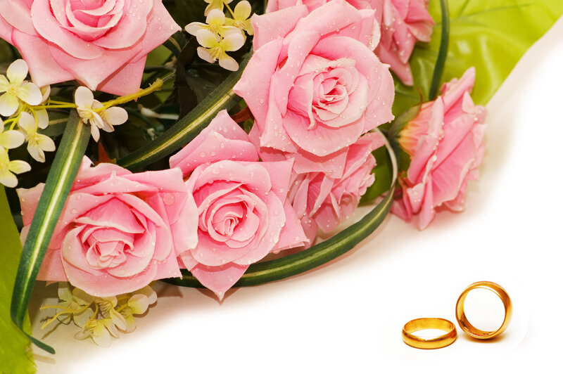 Pink Roses and Wedding Rings — Romantic