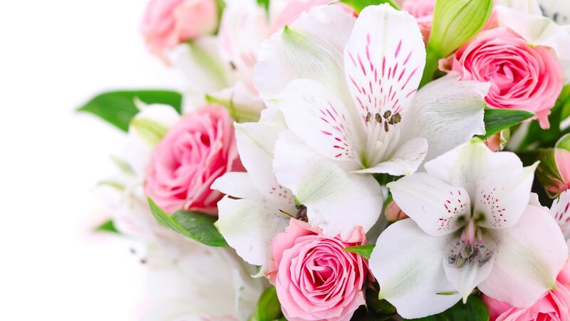 pink roses and white alstroemeria