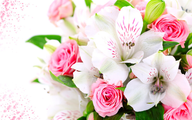 Pink Roses and White Alstroemeria — Calm