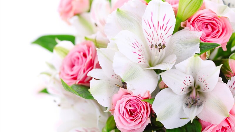 Pink Roses and White Alstroemeria — Serene