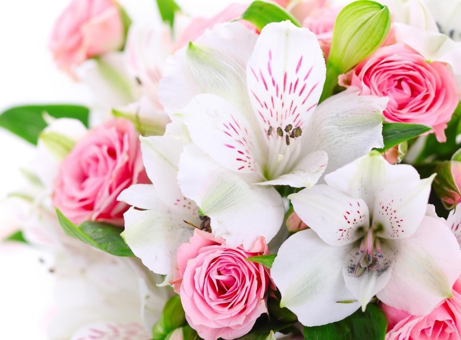 Pink roses and white alstroemeria