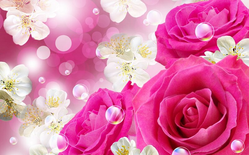 Pink Roses and White Flowers — Romantic, Spring, Digital Art, Bubbles