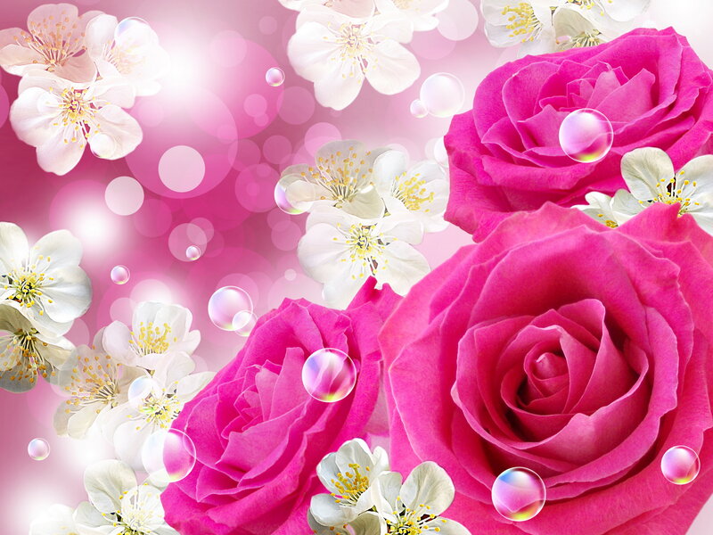 Pink Roses and White Flowers — Romantic, Spring, Digital Art