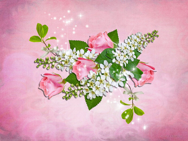 Pink Roses and White Flowers — Romantic