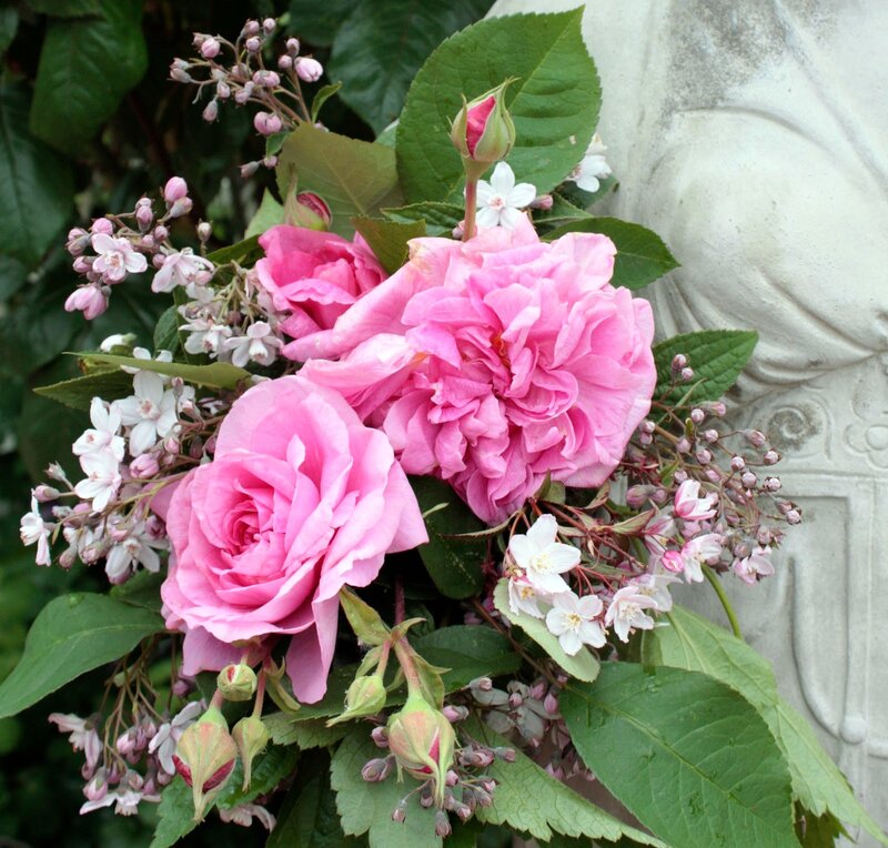 Pink Roses and White Flowers — Serene